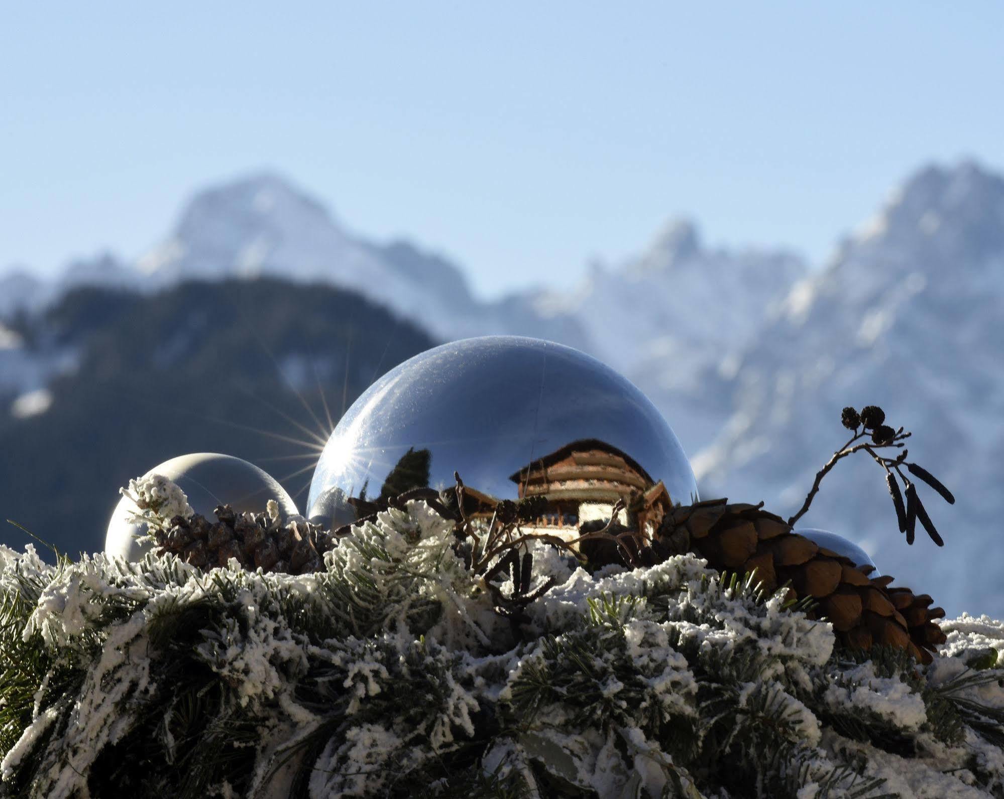 Chalet D'Adrien Verbier Εξωτερικό φωτογραφία