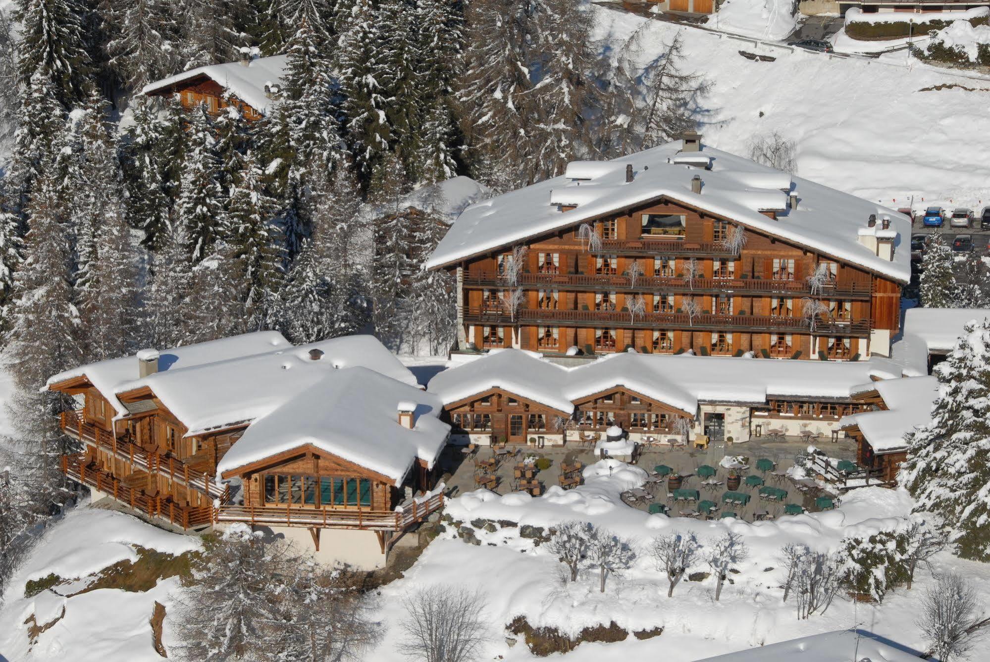 Chalet D'Adrien Verbier Εξωτερικό φωτογραφία